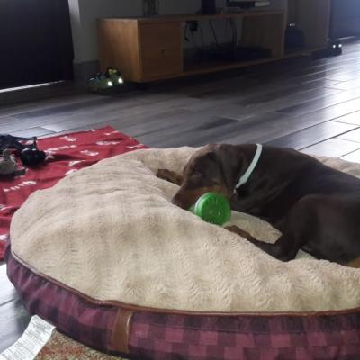 Img 20200924 Wa0023