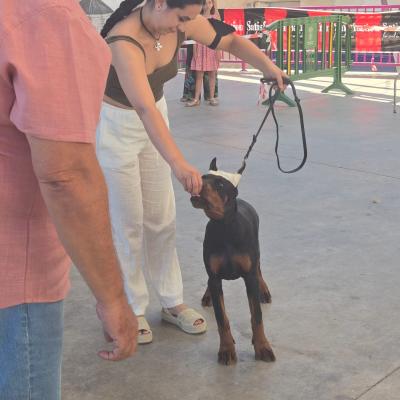 Imagen De Whatsapp 2025 09 09 A Las 17.19.47 49159f87